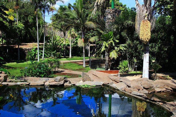 2024 Skip the Line Palmetum Botanical Garden in Santa Cruz de