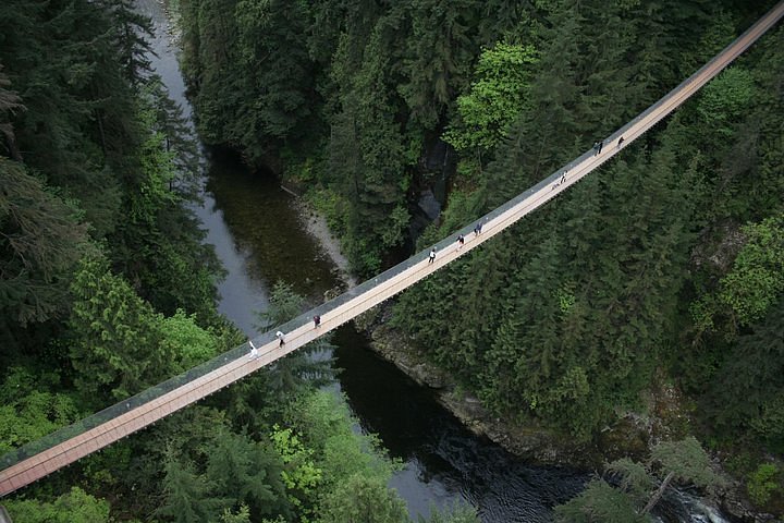 Vista Del Puente Colgante De La Suspensión Del Río Salmón En El