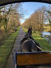 Tripadvisor | Jaunting Car Tour to Ross Castle from Killarney provided