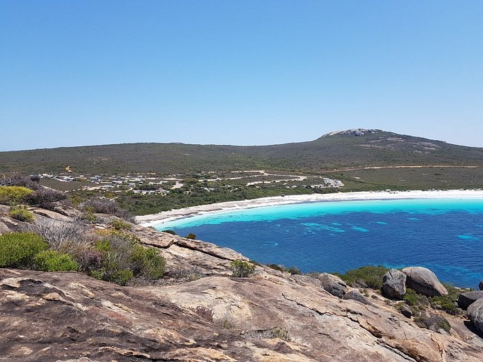 can you take dogs to lucky bay