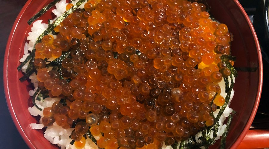はらこ丼