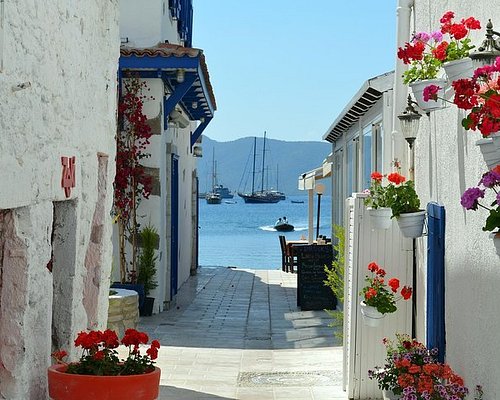 excursions in bodrum