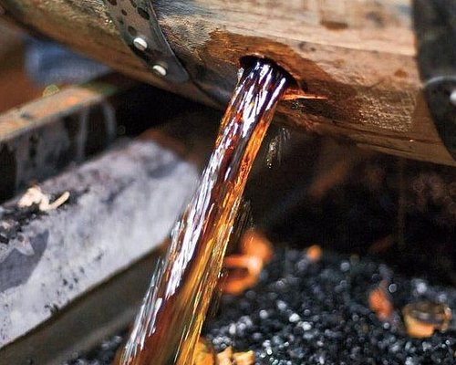 bourbon tours in bardstown