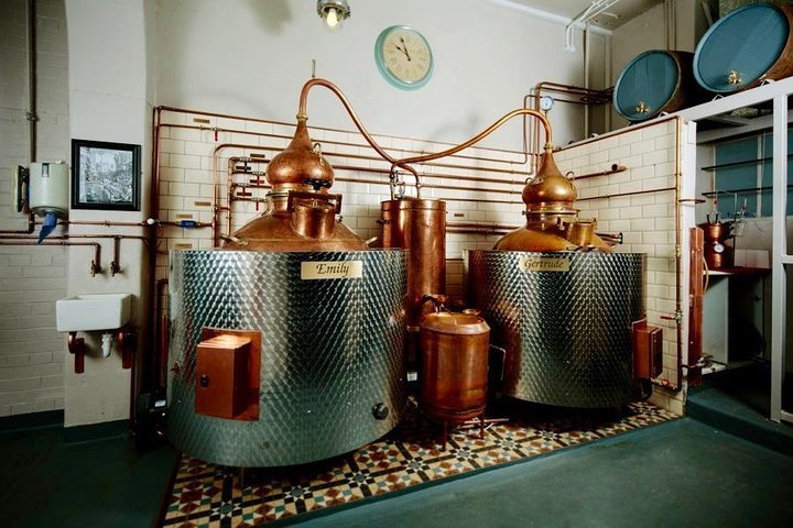 2024 Pickerings Gin Jolly Distillery Tour And Tasting In Edinburgh