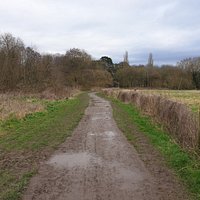 Very muddy in places