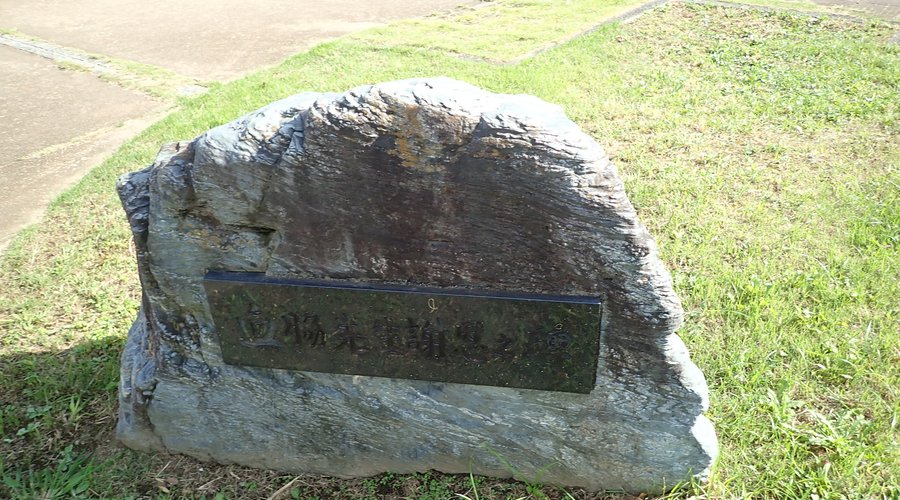 血脇守之助さんとは歯科医師で、明治、大正、昭和にわたって歯科医師界に多大な功績を残した方です。