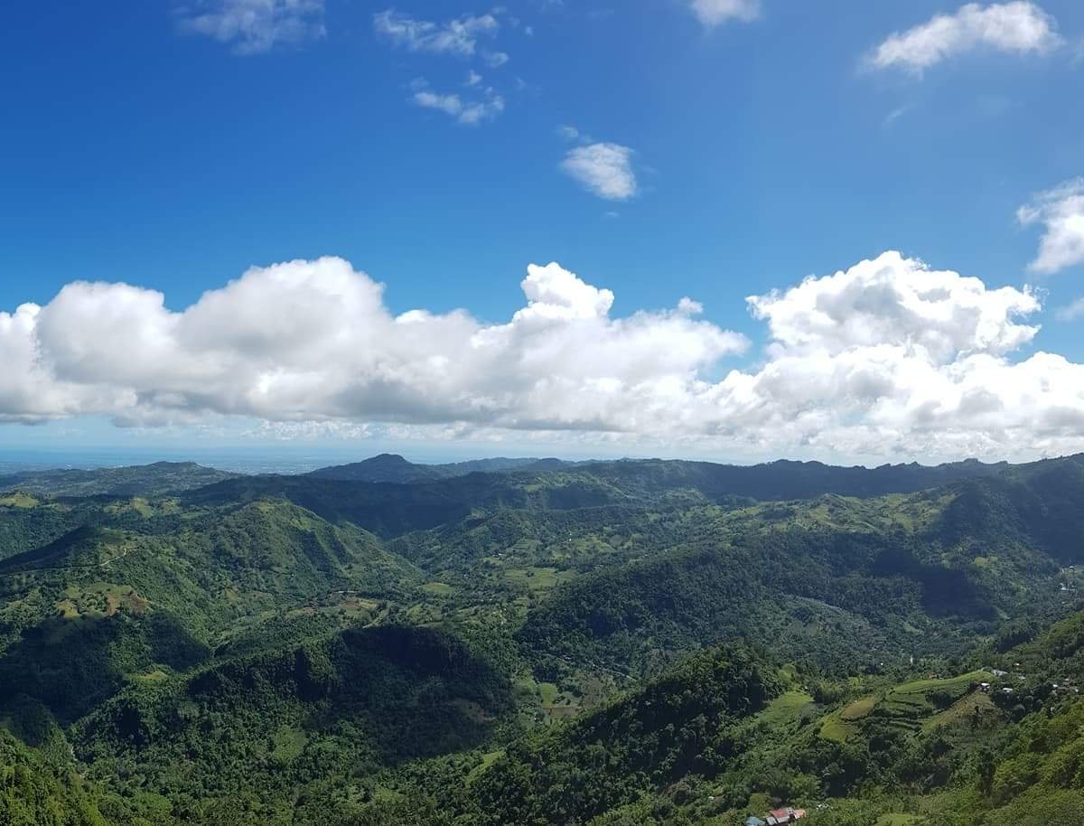 MOUNT MAUYOG (Balamban) - 2022 What to Know BEFORE You Go