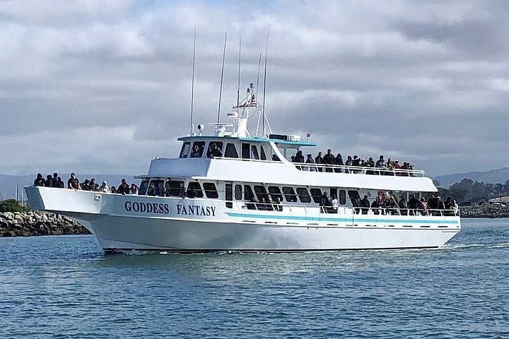 Whale Watching Monterey Bay Tour With Sea Goddess Whale Watching