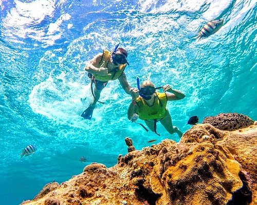 THE 10 BEST Cozumel Scuba & Snorkeling Activities (Updated 2023)
