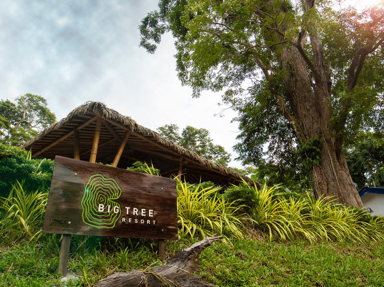 BIG TREE RESORT - Updated 2024 Prices & Hotel Reviews (Port Blair