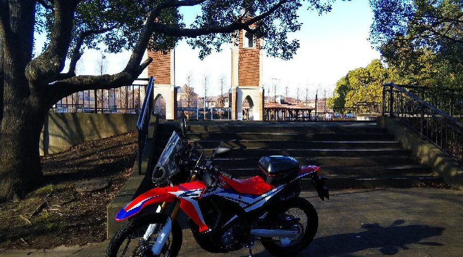 正月休み最終日、キャンベルタウン公園に、新車バイクで、遊びに行きました。キャンベルタウンという、大それた名前は、単に、オーストラリアから、命名したのでは、思いました。円形でローラースケートやってる子もいれば、近場の普通の公園よりかは、遊びがいあるが、車で遠路来るほどの物ではない。