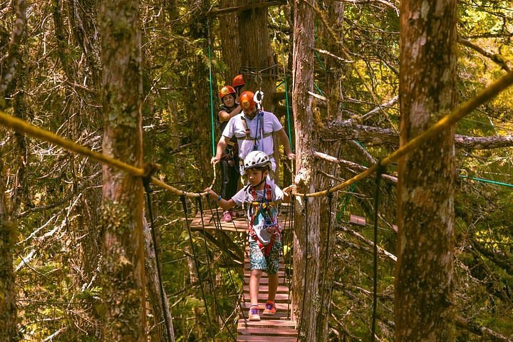 Tripadvisor  Arborismo en el huerto forestal - Campos do Jordão