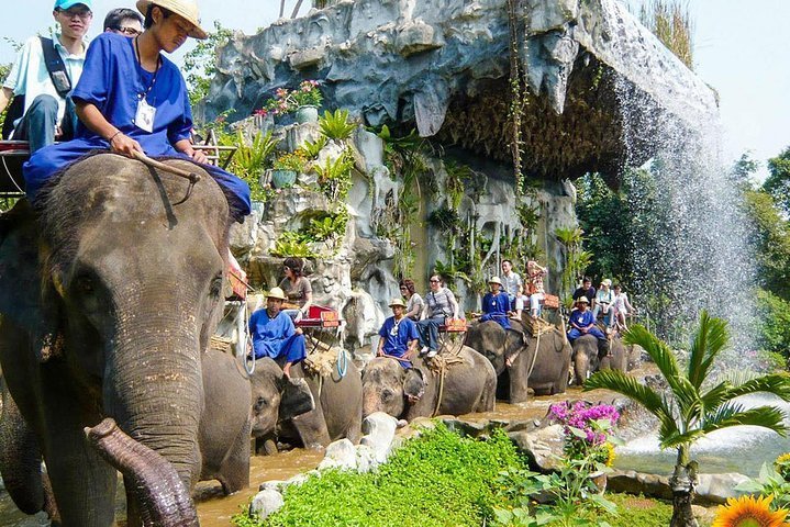 2024 Samphran Elephant Ground & Zoo, incluido el traslado desde Bangkok