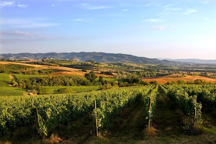 2023 Olive Oil And Wine Museum Visit with lunch & Assisi guided tour