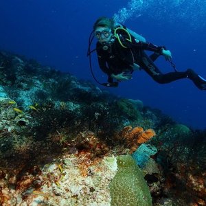 PALANCAR REEF (Cozumel) - 2022 What to Know BEFORE You Go