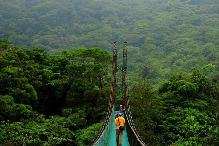 Ofensa administrar dolor Tripadvisor | Puentes Colgantes del Bosque Nuboso de Monteverde ofrecido  por Faro Travel Costa Rica | Costa Rica