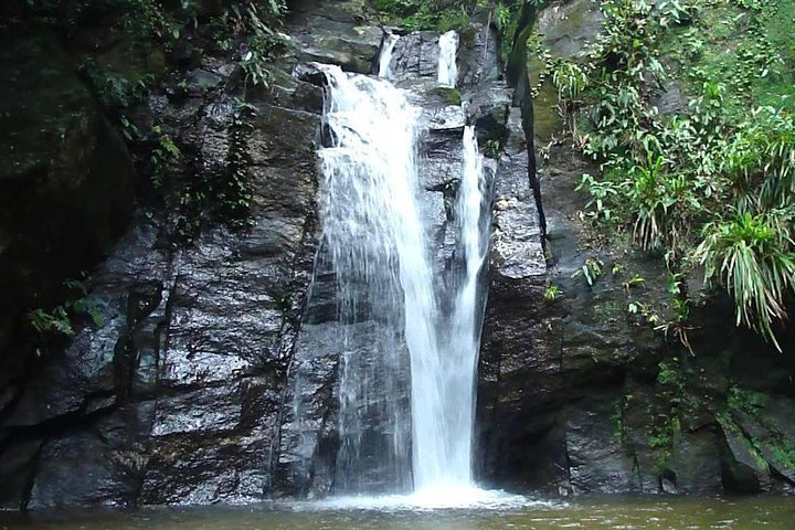 Tijuca National Park Hiking Tour, Rio de Janeiro