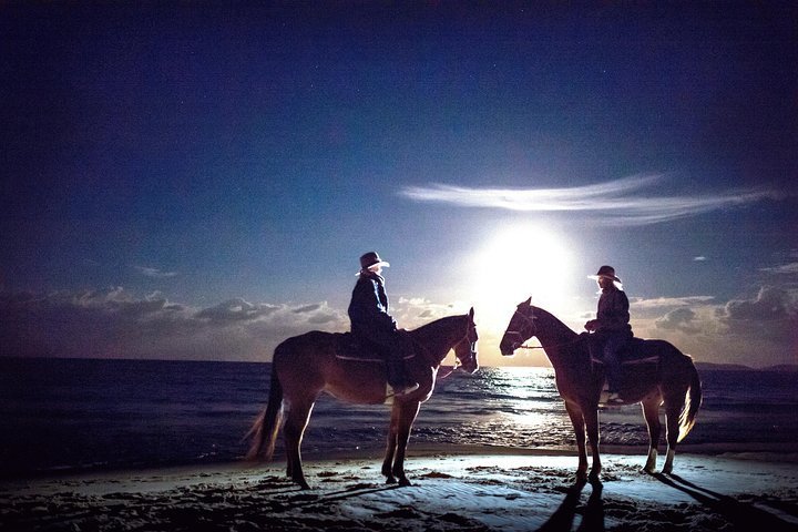 Tripadvisor | Full Moon Horse Ride en Rainbow Beach proporcionado por ...