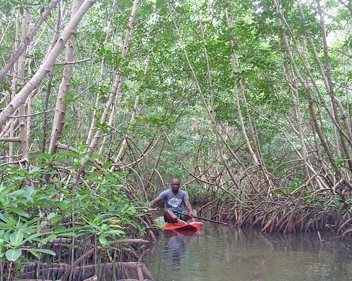 The BEST Guadeloupe Tours and Things to Do in 2024 - FREE Cancellation