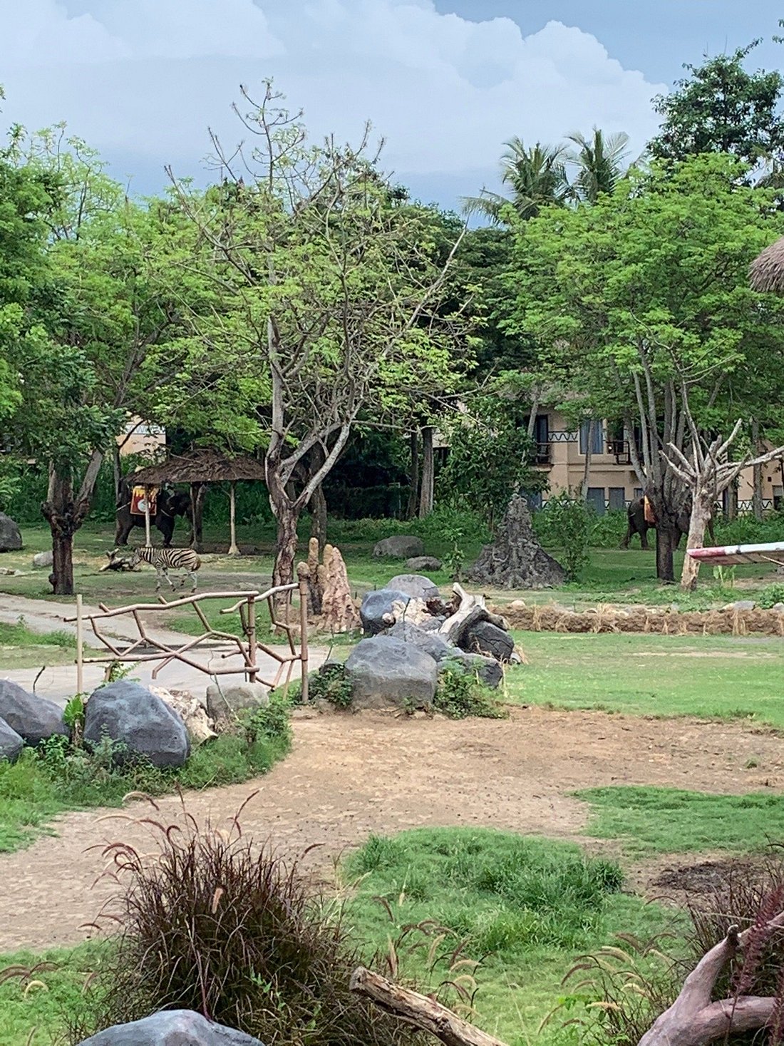 bali safari park hotel