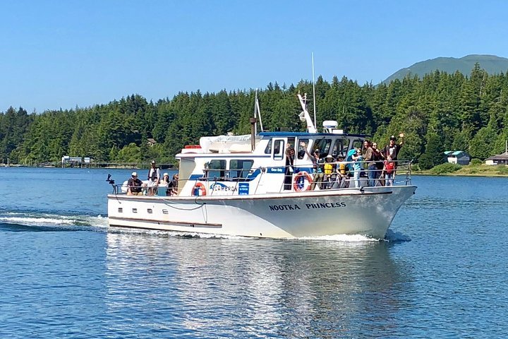 2024 Whale watching & sightseeing tour in Ucluelet, Vancouver Island