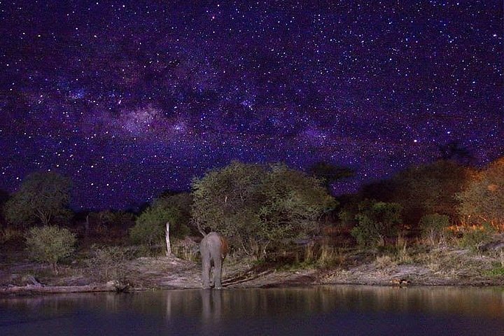 2024 (Harare) Stargazing on The Wilderness (Harare Night’s Tour)