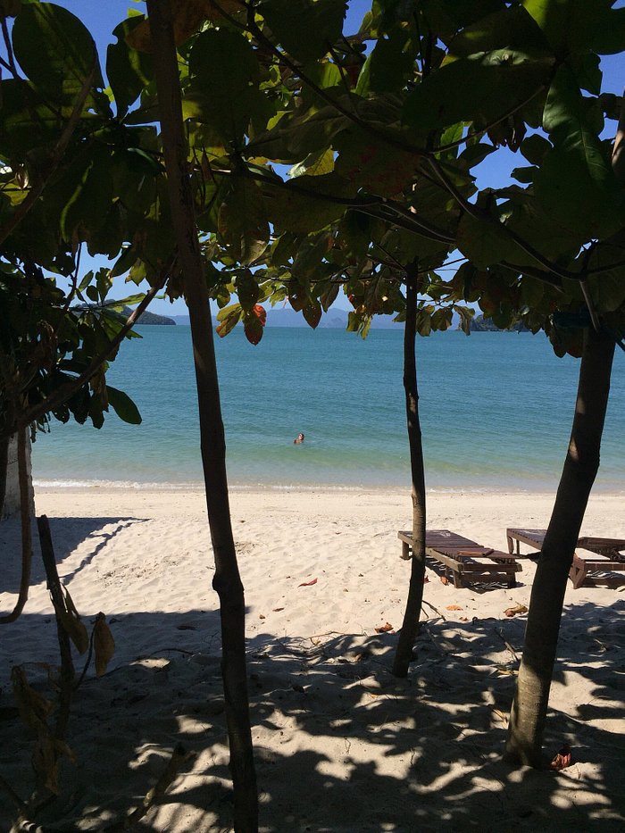 De Balqis Beach Resorts Desde 486 Langkawi Asia Opiniones Y