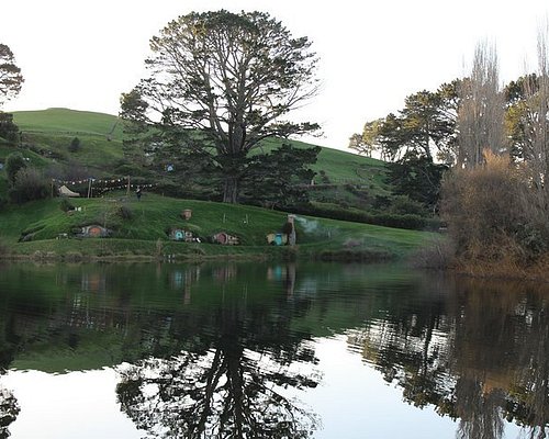 new zealand day tours from auckland