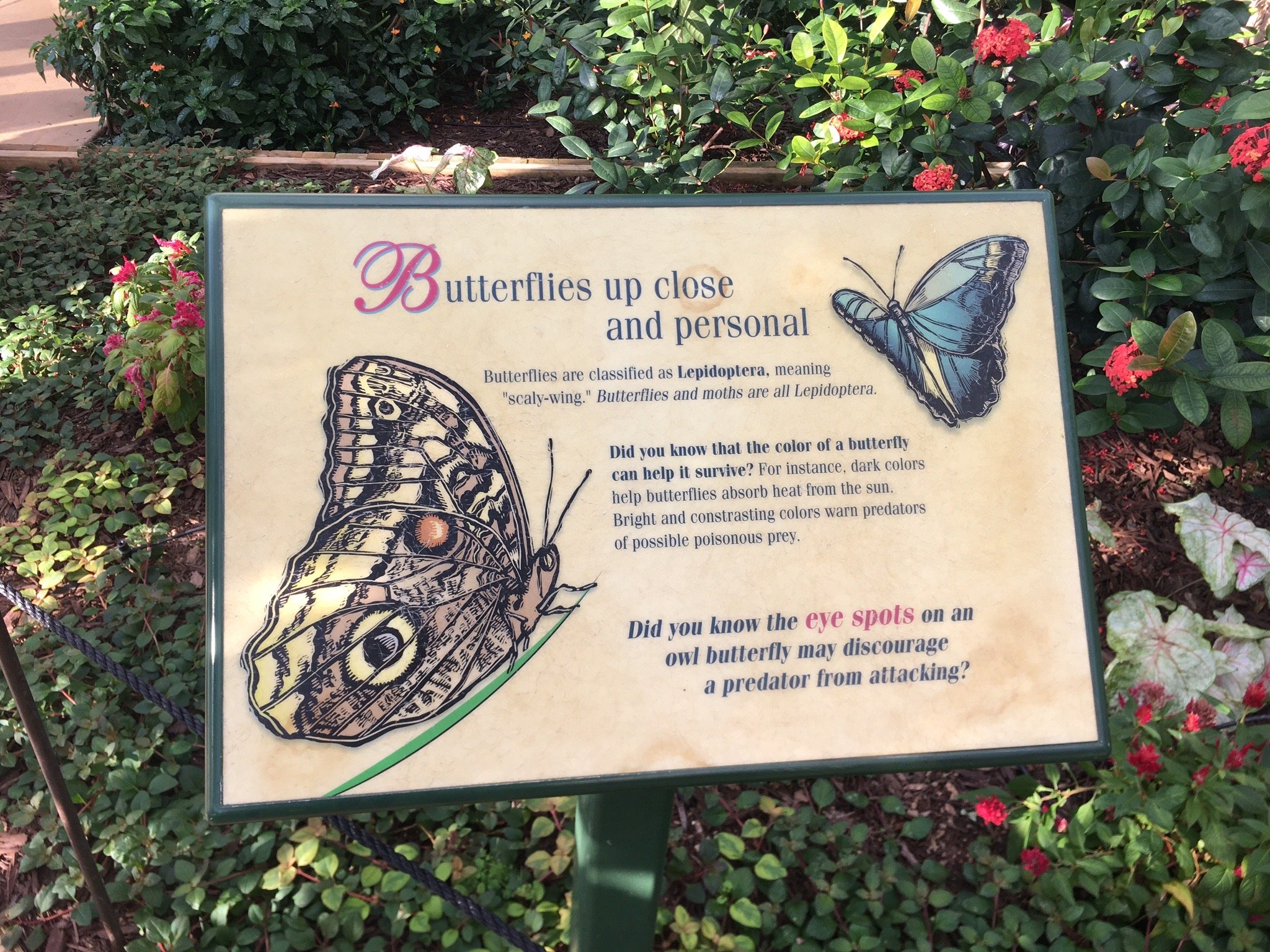 Cecil B Day Butterfly Center (Pine Mountain) - All You Need To Know ...