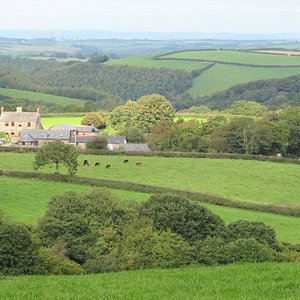 Birchill Farm & Cottages quietly nestled in the beautiful North Devon countryside.