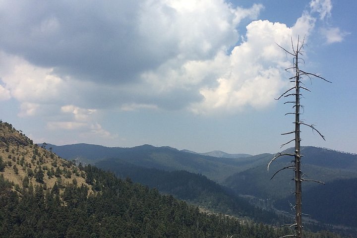 Tripadvisor | Alpinismo Pico del Águila (Ajusco, CDMX) proporcionado por  México Travesías | Ciudad de México