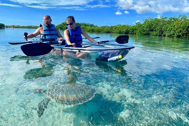 iguana island tours tci