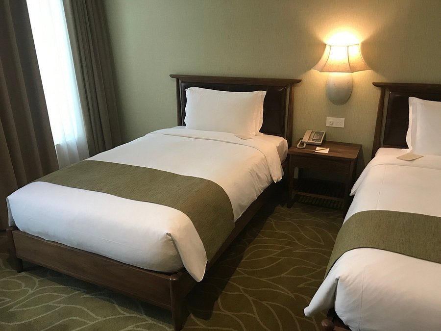 ユセンスホテル 有誠商旅 Yusense Hotel 士林 21年最新の料金比較 口コミ 宿泊予約 トリップアドバイザー ユセンスホテル 有誠商旅 Yusense Hotel 士林 21年最新の料金比較 口コミ 宿泊予約 トリップアドバイザー