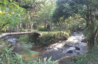 Fazenda Nova Gokula realiza retiro com diversas atividades no