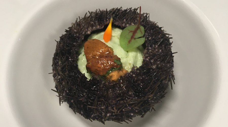 Sjöborre med gurkmousse