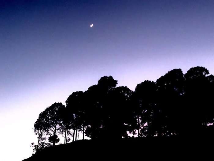 Imagen 28 de Bara Bungalow, Kasauli