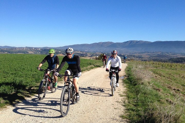 Bring your bike and go tasting with a local expert! | Todi, Italy