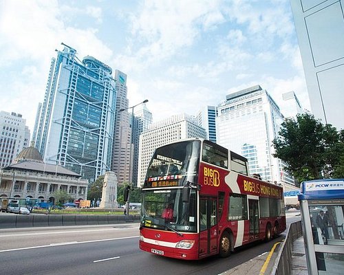 hong kong tour guide