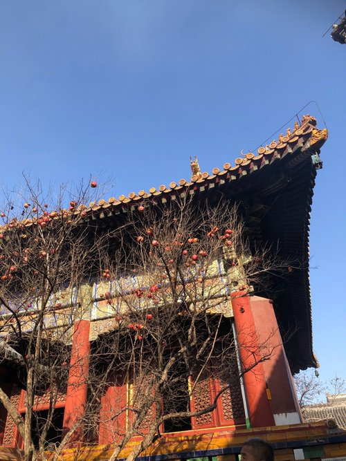 Beijing Jenny Goh review images