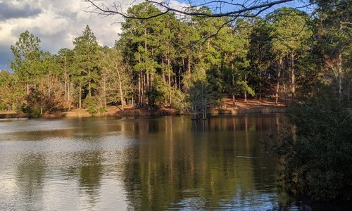 Nicholls, GA 2023: Best Places to Visit - Tripadvisor