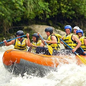 The 10 Best Things To Do In Colombo 21 With Photos Tripadvisor Must See Attractions In Colombo Sri Lanka The 10 Best Things To Do In Colombo 21 With Photos Tripadvisor Must See Attractions In Colombo Sri Lanka
