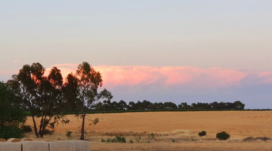 Perfect BnB for exploring the Clare Valley wineries