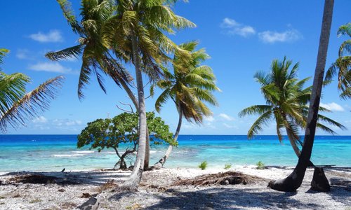 Fakarava 2023: Best Places to Visit - Tripadvisor