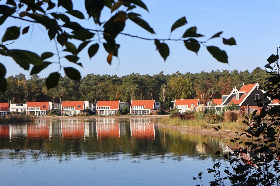 Leukste campings en vakantieparken op de Veluwe - Reisliefde