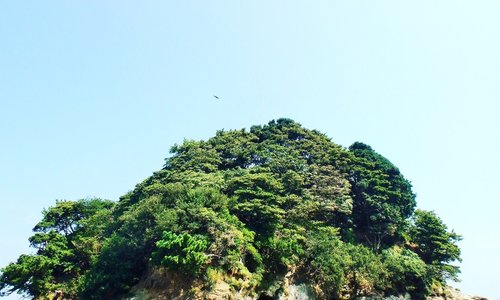 鳥羽の三ツ島の周りでは、釣りやカヤック、シュノーケルが楽しめます！