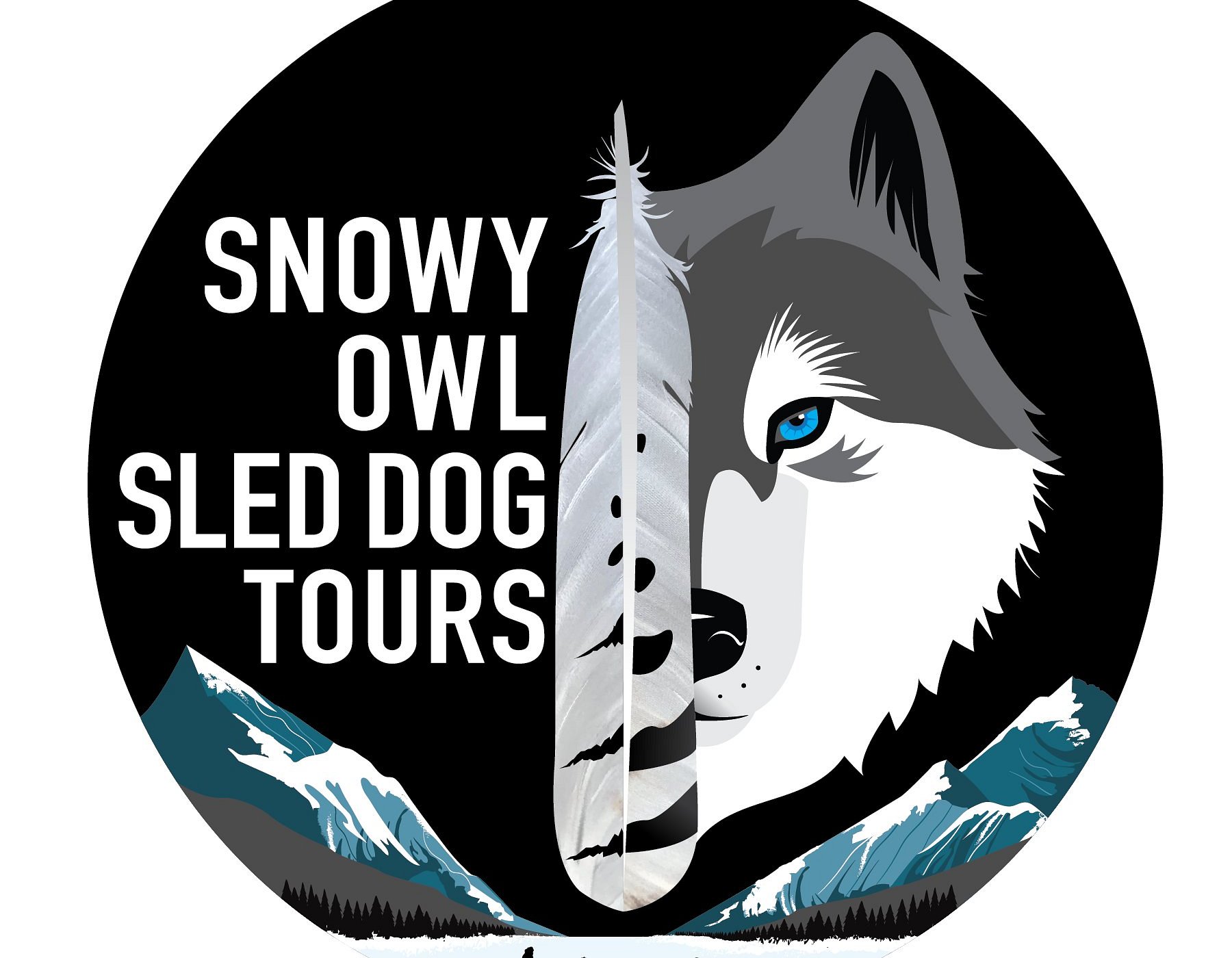 snowy owl sled dog tours inc