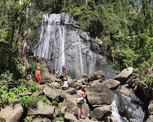 (Private) El Yunque tour - Transportation Included / 7am-12pm or 12pm-5pm