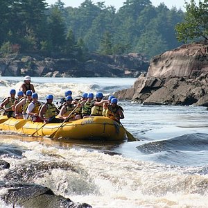 wilderness tours raft & kayak resort