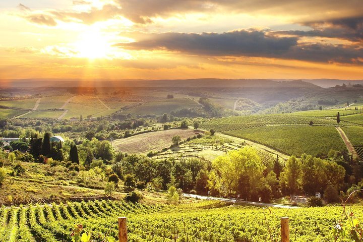 Tripadvisor | Private The Essence of Tuscany: Chianti Classico ...