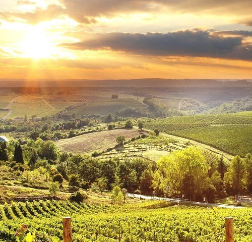 THE 10 BEST Things to Do in Greve in Chianti - Tripadvisor